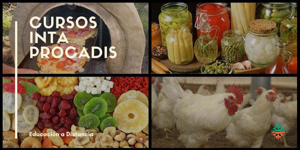 Te invitamos a ver nuestros #cursos de acceso libre desde cualquier dispositivo

👉 bit.ly/PR_CursosAL

#Procadis
#Formacion #CursosGratis #INTA