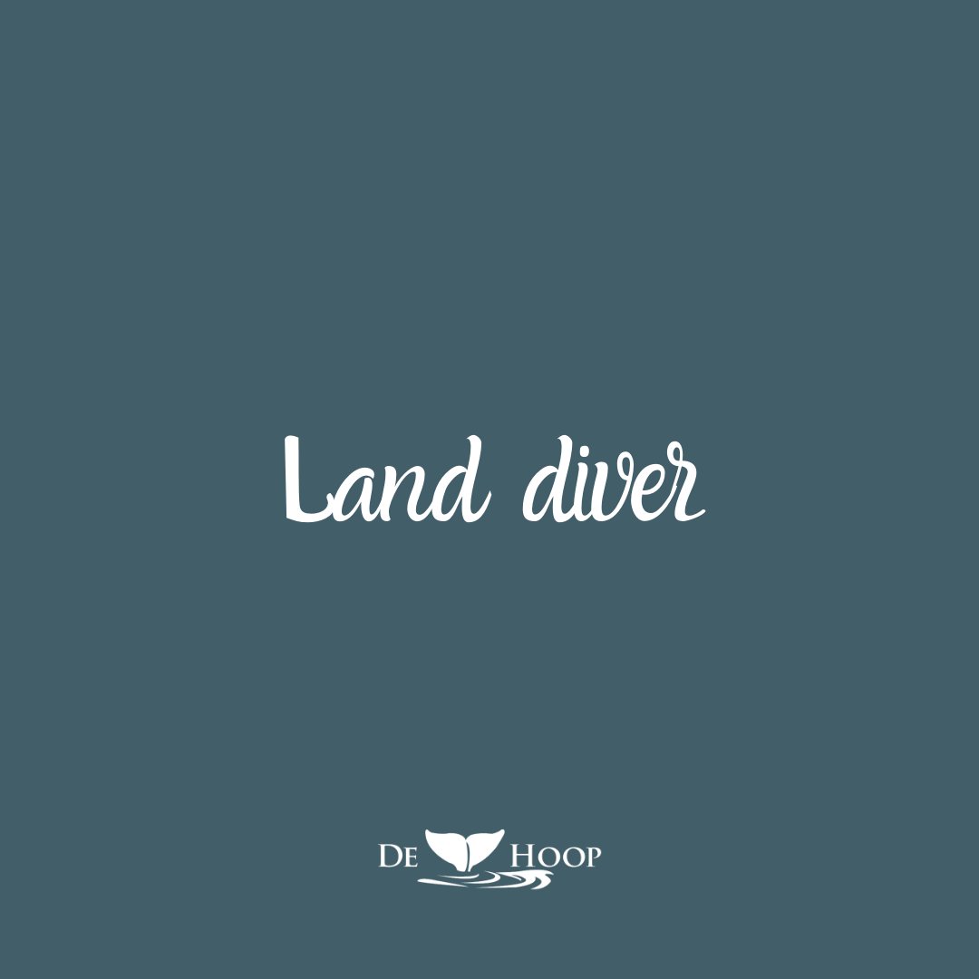 De Hoop Collection tweet media