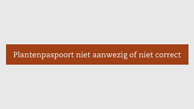 Naktuinbouw's tweet photo. Ondanks alle voorbereidingen en inspanningen rondom de nieuwe #EU-Plantgezondheidsverordening kan er iets niet in orde zijn met het plantenpaspoort. Doe hier uw melding: https://t.co/glcBD1Zce3 https://t.co/YRkQ2cvSUD