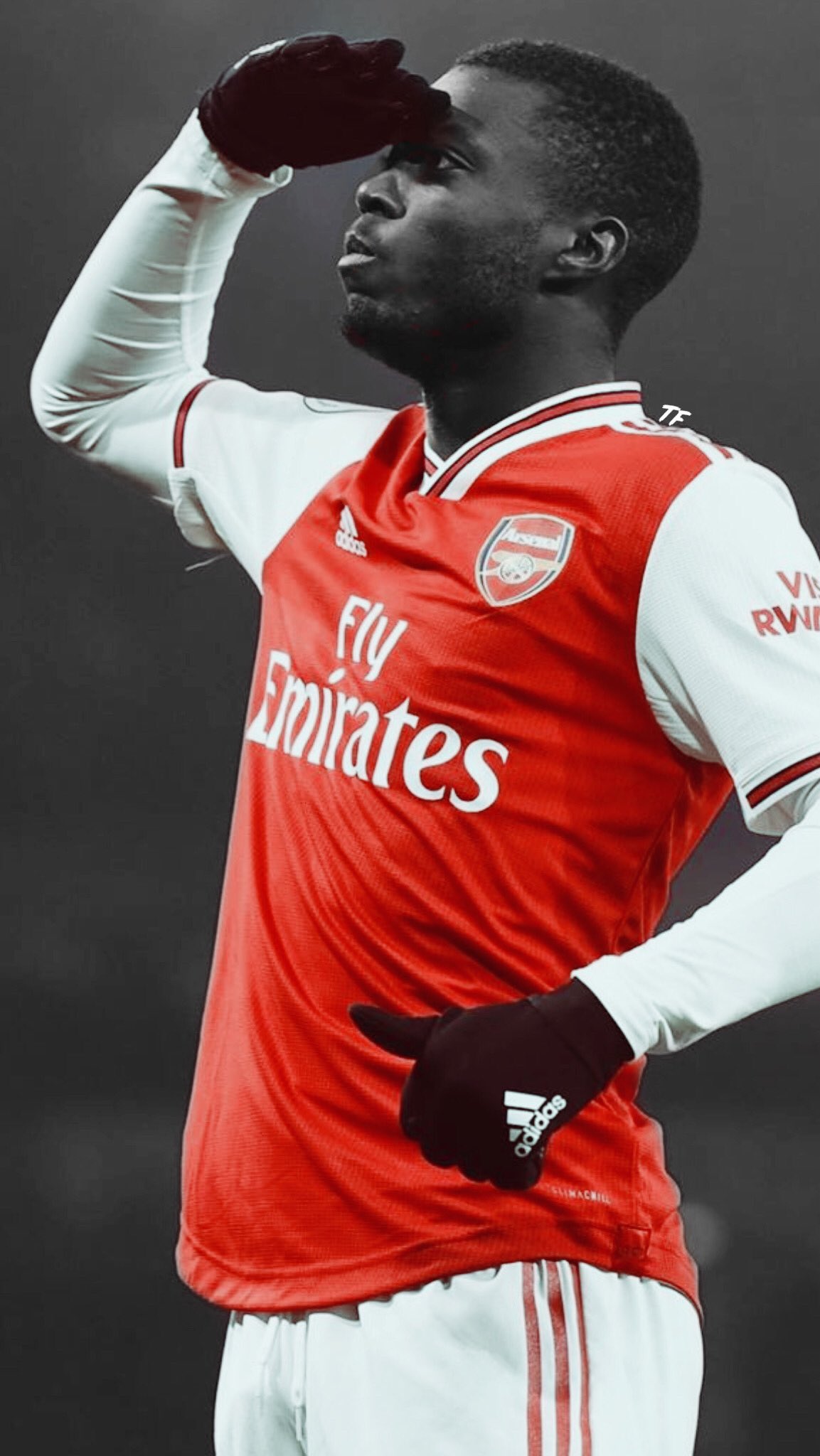 TF Sport Edit (em hiato) on Twitter: TF Sport Edit (em hiato) on Twitter: