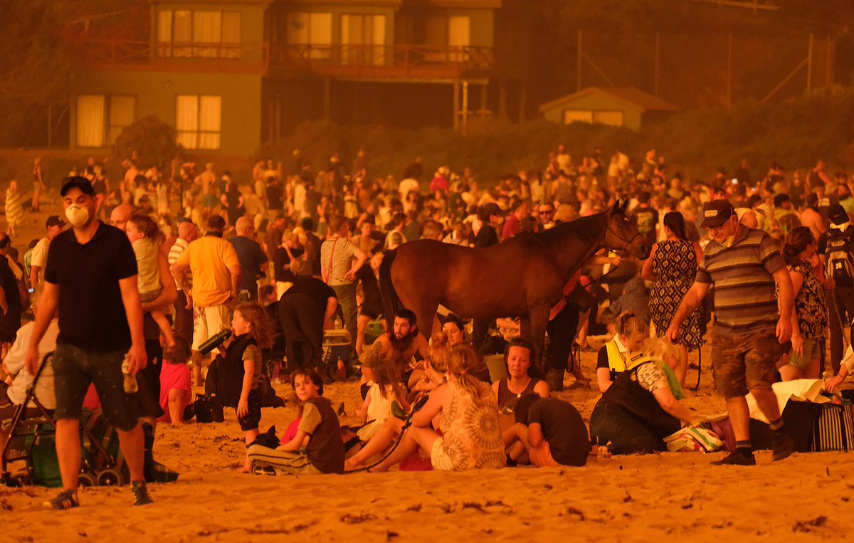 These are Australians waiting on the beach to flee into the ocean if the fire keeps coming. It's the only 'safe' place they can find.