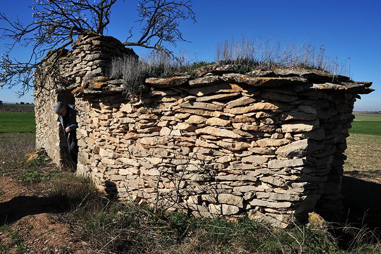 ArquitradCAT's tweet photo. Sempre es parla del lliri de sant Josep com a planta que serveix per relligar la terra de les cobertes de les barraques de pedra seca, tot i que el crespinell fa la mateixa funció.

Foto general i detall d'una cabana a Preixana (Urgell) i barraca a la Garriga d'Empordà. https://t.co/MVjtcXukzW