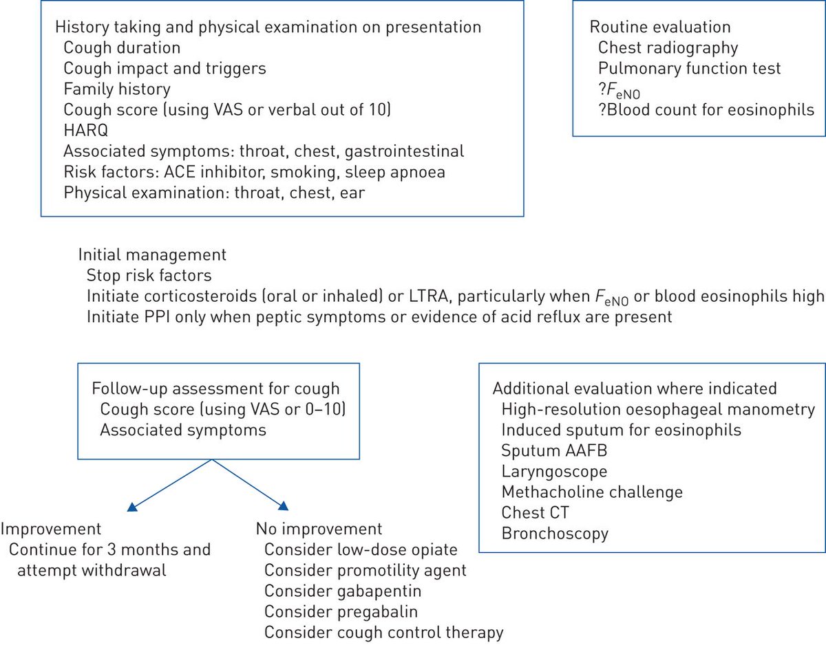 ERSpublications's tweet photo. New ERS guideline on chronic cough details the paradigm shift in our understanding. In adults, cough hypersensitivity has become the overarching diagnosis, and in children, persistent bacterial bronchitis explains most wet cough, changing treatment advice. https://t.co/OXzdBSQMsI https://t.co/6udDEBZ1Tu