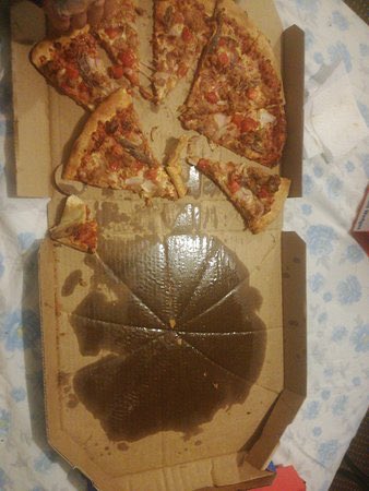 Grumpy Cat tweet media