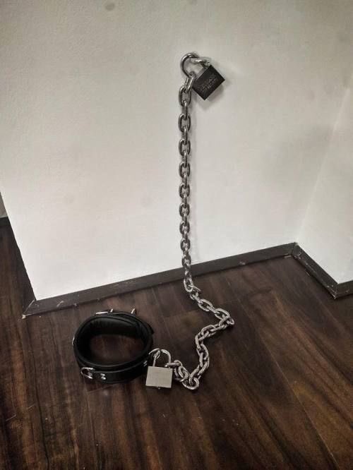 queen_of_slave's tweet photo. buraların en iyi sahibesi olmak harika 🙃 

#sahibe #finansal #finansalköle #finansalköpek #finansaldestek #köle #slave https://t.co/AztiDs1bMt