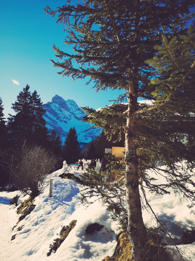 InfoAdrenalin's tweet photo. Uumäär schüü 😍😍😍 #braunwald #ortstock #wettsteinhaus #nature #lebenindenbergen #mysweethome #switzerland #glarnerland https://t.co/PtxMpnfzXl
