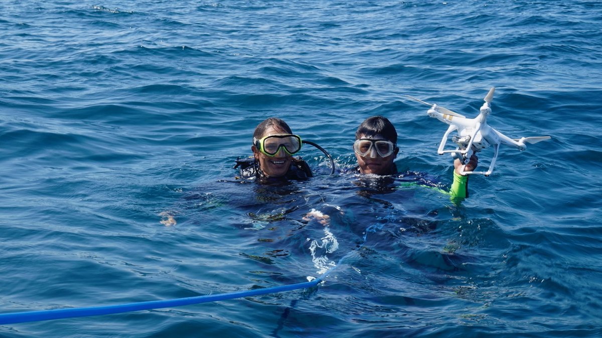 LatinAmericanScience tweet media