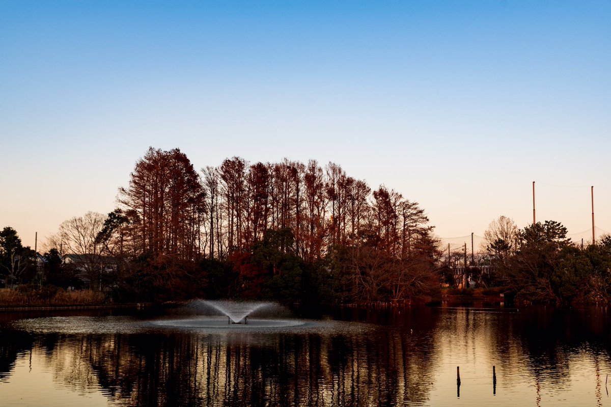 岡本尚也 Hisaya Okamoto Jan A Quiet Place Photo H Okamoto Pentax K 70 Hd Pentax Da 16 85mmf3 5 5 6ed Dc Wr January Park Nature Naturelovers Snapshot Pentax Photographer 静かな場所 T Co Z9mjg2lour