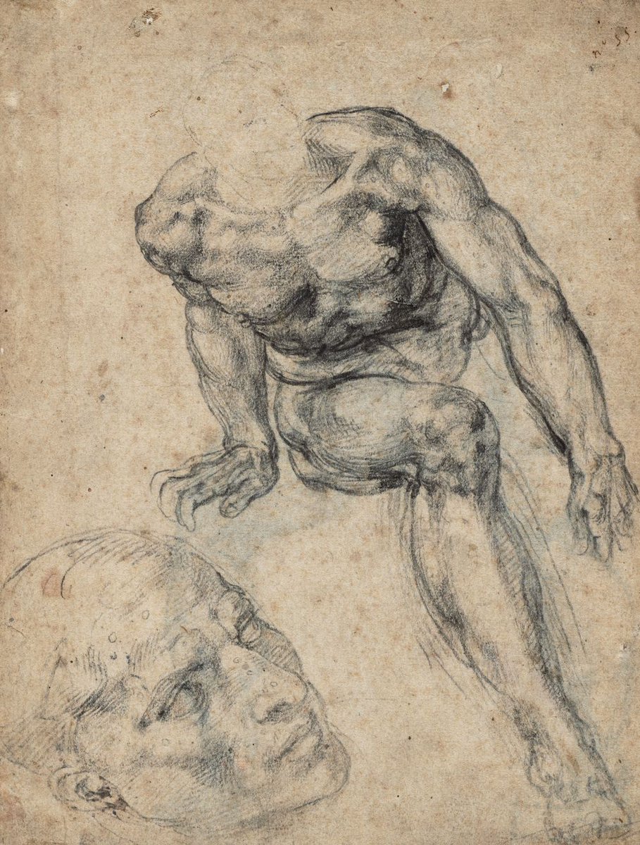 ClevelandArt's tweet photo. FINAL DAYS: “Michelangelo: Mind of the Master” runs through Sun, 1/5. “Michelangelo: #MindoftheMaster” is included in @WSJ's roundup of "The Best Art of 2019: Where Knowledge and Beauty Meet!" Reserve your tix now. https://t.co/aGQaT6Bbxq ✨ https://t.co/E441VcfDZ2