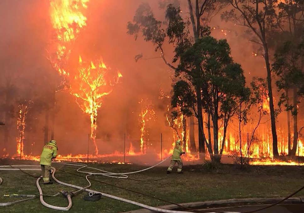 EvrnmtCaringPpl's tweet photo. We were happy to be in Sydney when it was cooler. But now Aus is burning. Help where you can, even just by sharing this will help others know about it! Help by caring for everyone. Thank you. 

#AustraliaBurning https://t.co/rFpcdZzmFv