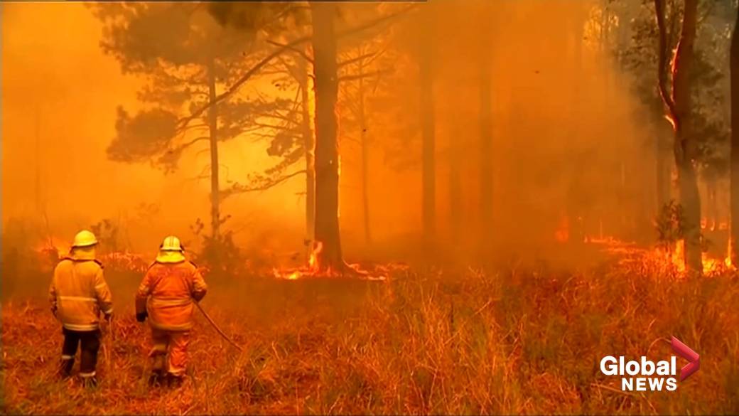 EvrnmtCaringPpl's tweet photo. We were happy to be in Sydney when it was cooler. But now Aus is burning. Help where you can, even just by sharing this will help others know about it! Help by caring for everyone. Thank you. 

#AustraliaBurning https://t.co/rFpcdZzmFv