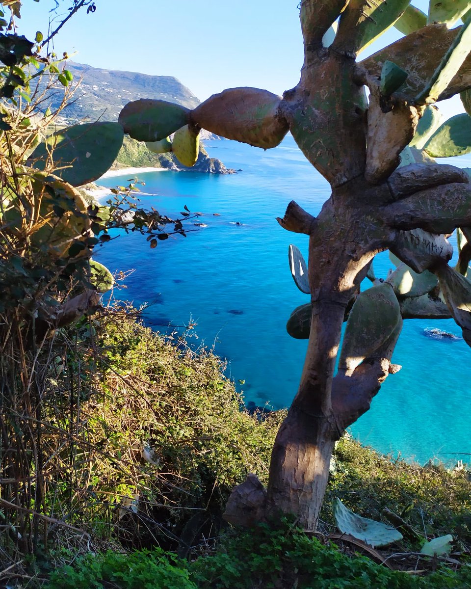 calabriaonline's tweet photo. Prima di rientrare in ufficio un saluto #live a tutti gli amici! #2gennaio di ☀️ splendente lungo la #CostaDegliDei. 📸 @ProntoEstate #Calabria per #meteoscatto e #marelive @3BMeteo. #SudItalia #Sapevatelo #FacciamoRete https://t.co/2twotkLro8