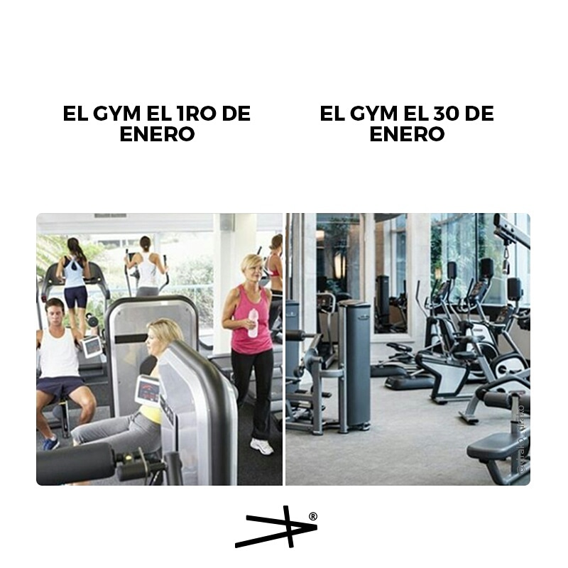 DANIEL_DRAKO's tweet photo. ¿Tu resolución de año nuevo también fue comenzar el gym? 😅 https://t.co/Lx7vLvpFmu