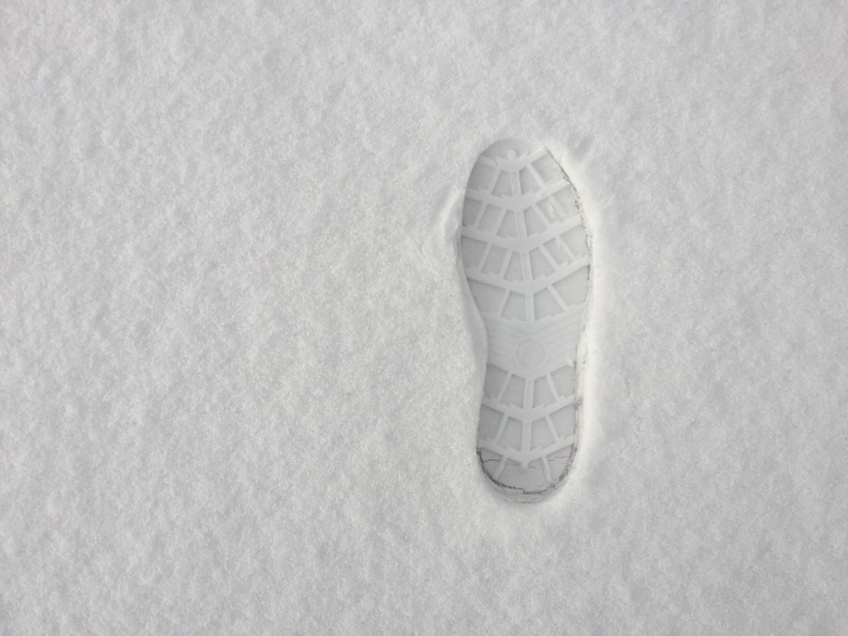 Booksmag's tweet photo. Les Russes ont un mot pour désigner le bruit des pas sur la neige gelée: Skrip. #motmanquant https://t.co/QAZ8nCZ2TU