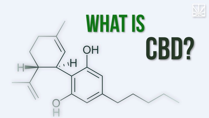 CannaFinest's tweet photo. 📢 What is CBD? How to use it?..  ⚡️💥⚡️
#learning 
#HealthyLiving 
#CBD 
- 🙌 - 
👉https://t.co/eLu6toVz1j - 💚 https://t.co/biVcwr8Di0