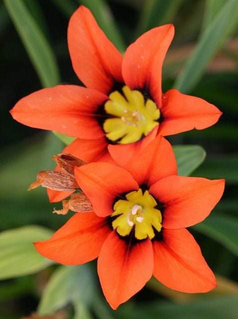 Good night dear friends... 😴