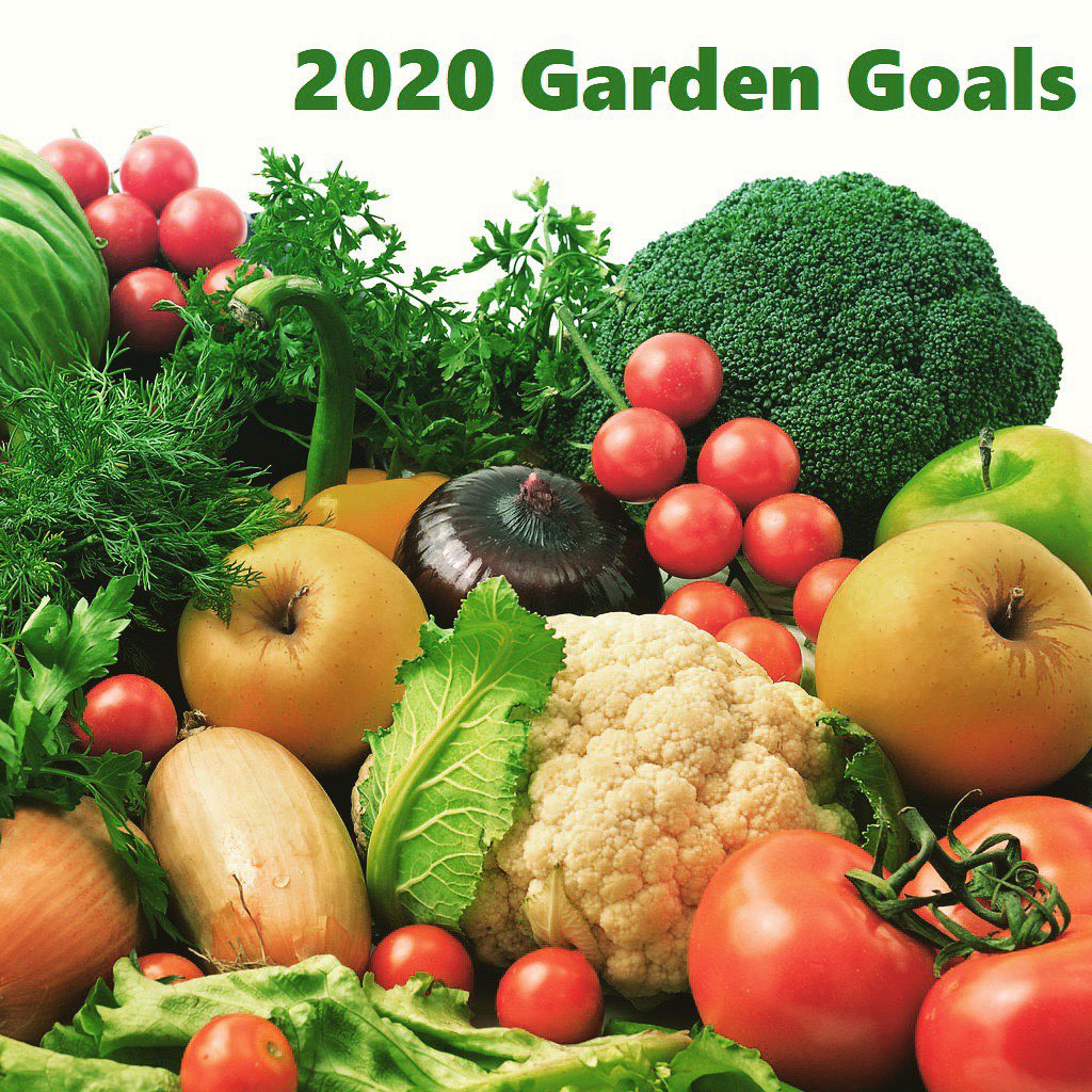 OrganicsFox's tweet photo. HAPPY #2020 NEW YEAR from #redfoxorganics The New year is a fresh start to set #goals and #resolutions to become a better you. It’s also an excellent time to plan your #gardengoals for 2020.
#2020vision #2020goals #veteranowned https://t.co/ubULoqnZCg