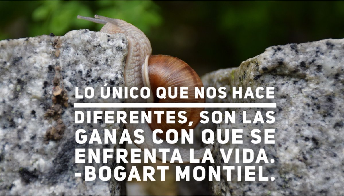 Anyerlab's tweet photo. #SoyThinkie #ganasderomperla https://t.co/HXqvXjREa6