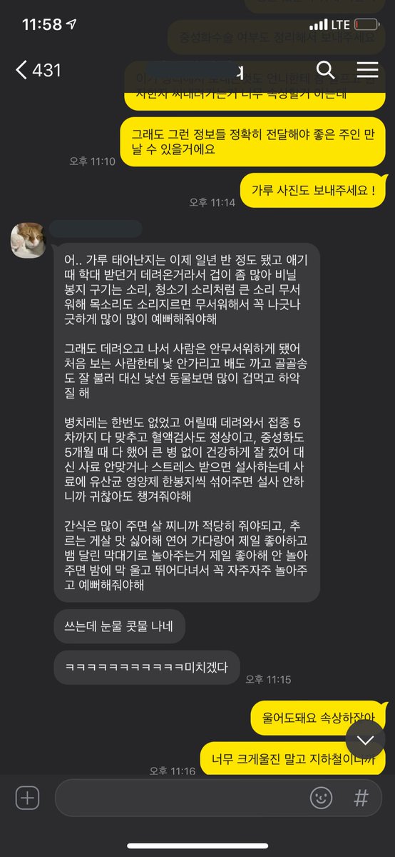 rita1366_'s tweet photo. Rt plz🙏)
혹시 고양이 분양 받으실 트친 분 계신가요 ....? 사료비 대주신다는데 아는언니가 천식으로 고생했는데 알고보니까 고양이 알레르기라 어쩔수없이 헤어져야 한대요... 이름은 가루에요 가루랑 평생 함께해줄 집사님 모셔요 ㅠㅠ 주변에 맡길데가 너무 없어서 걱정이라는데 .. https://t.co/a4AaH3qHVl