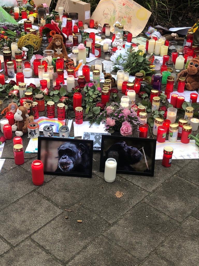 Caro78Pabst's tweet photo. @SelinaLaghuwitz @krefeld 😢 https://t.co/nRTlnseCjx