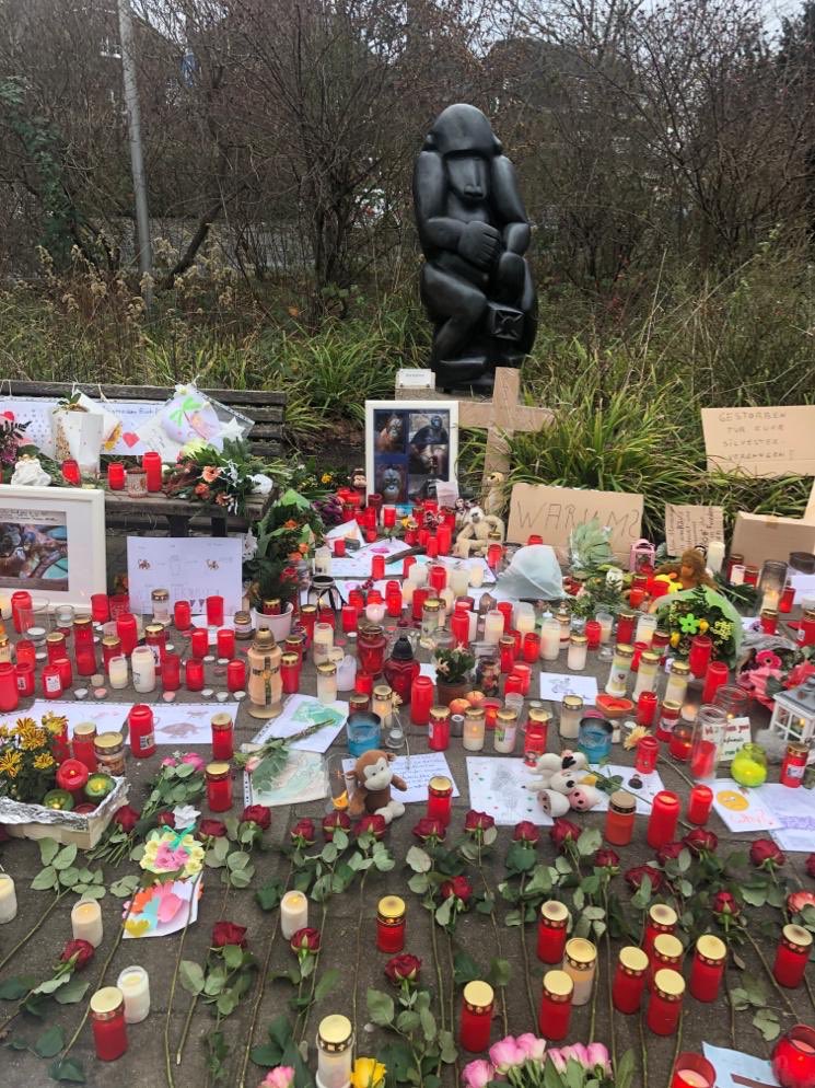 Caro78Pabst's tweet photo. @SelinaLaghuwitz @krefeld 😢 https://t.co/nRTlnseCjx