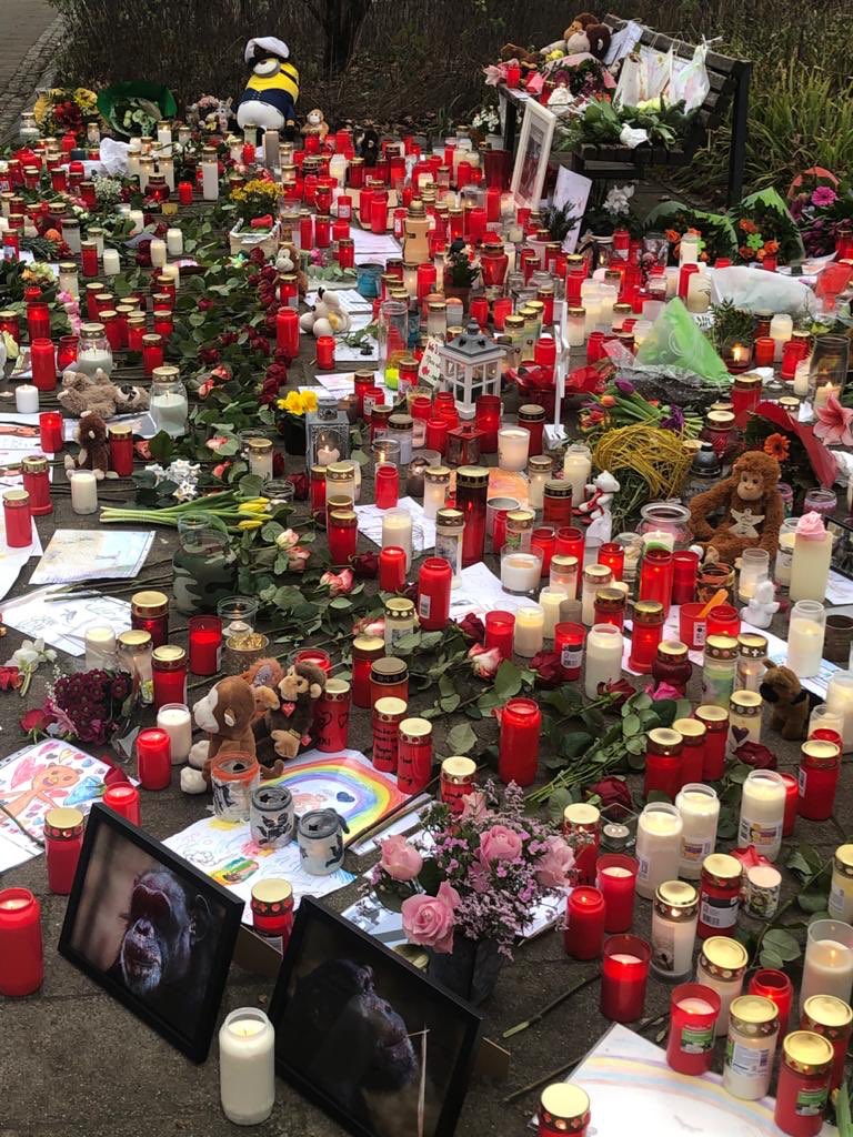 Caro78Pabst's tweet photo. @SelinaLaghuwitz @krefeld 😢 https://t.co/nRTlnseCjx