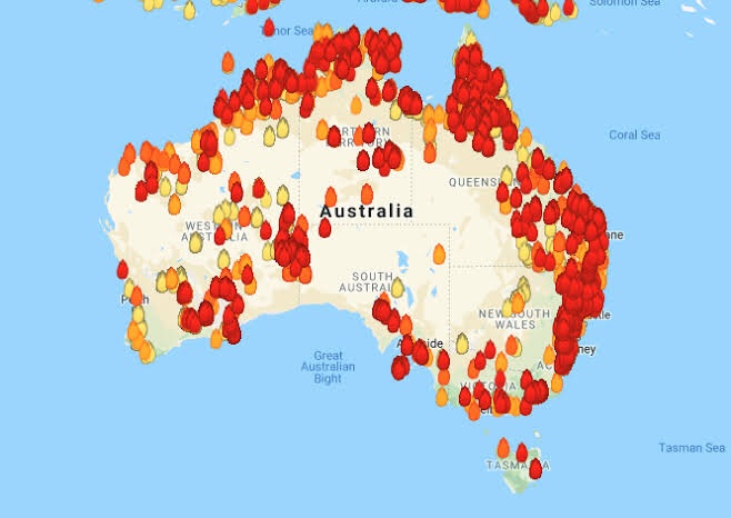 KResearcher's tweet photo. The bush fires in Australia look like something out of this World. In Kenya we joke a lot about wild animals in Australia. Unfortunately, estimates indicate that nearly 500 million animals have been killed so far including 8,000 Koalas. Prayers to the people down South. https://t.co/UJHLzyCRTg