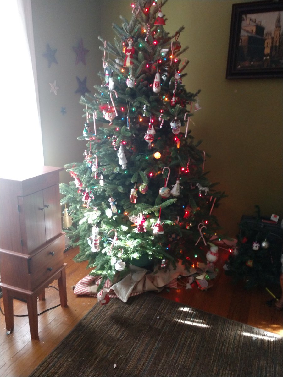 MakingMagic5's tweet image. Last night slept in front of the lit Christmas tree.  Celebrating it before it is taken down today.  Woke up to see the cats just staring at it.  They seemed to be just as entranced as I was.