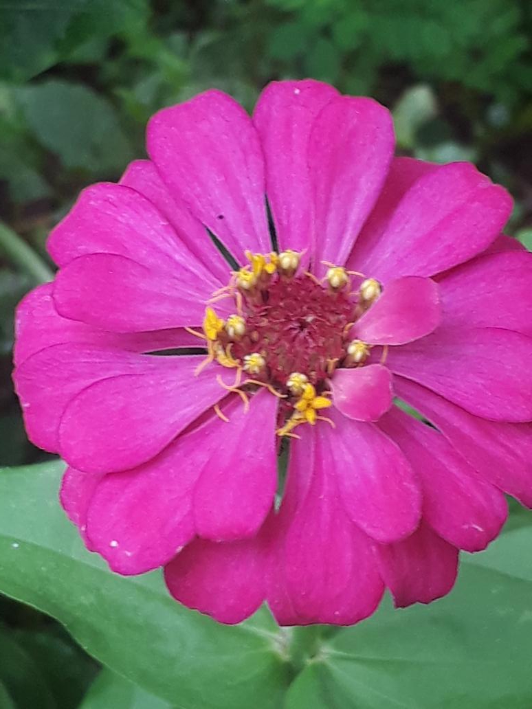 Escritora_Br's tweet photo. Natureza bela. Bom dia! Feliz ano Novo a todos. https://t.co/5c5hdSF5w8
