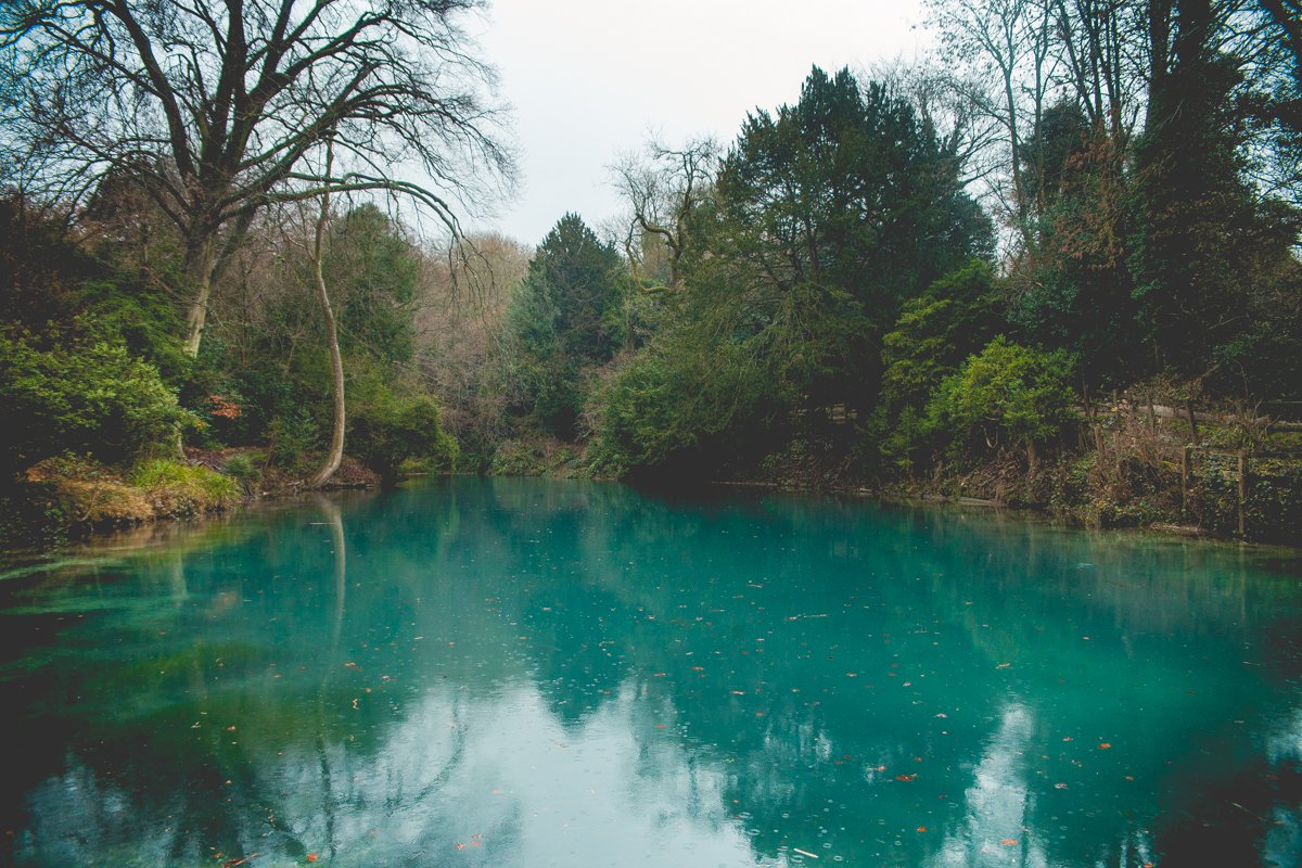 SilentPoolGin's tweet photo. Enjoying some fresh air and the gorgeous scenery of the Surrey Hills at the Silent Pool itself. Much needed after the past weeks festivities! https://t.co/rSCTGaB4Uw