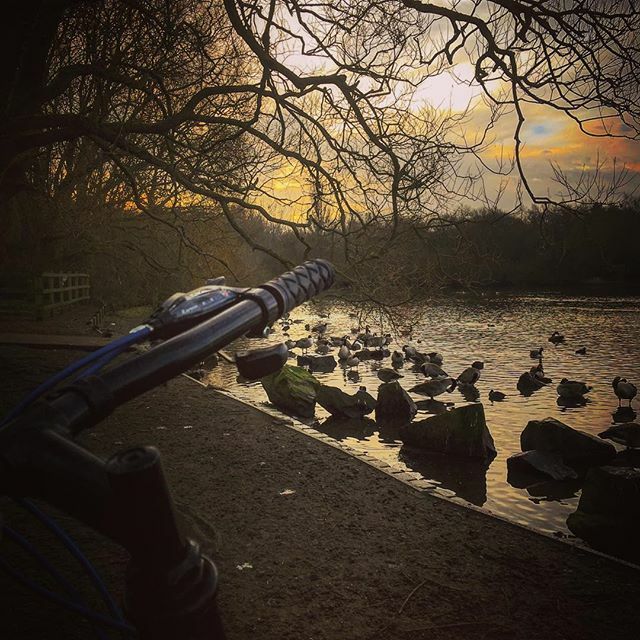 Cskoyles's tweet photo. Fun bike ride his morning. Stopped by the waterβs edge to steal some serenity. π² π΅ββοΈ π΅ββοΈ π²
#view #viewfrommyhandlebars #penningtonflash #bikeride #bikerider #cycling #mtblife #mtb #mtbiking #outdoors #nature #freshairtherapy https://t.co/OeymTFzfnj https://t.co/tcFggBlOtT
