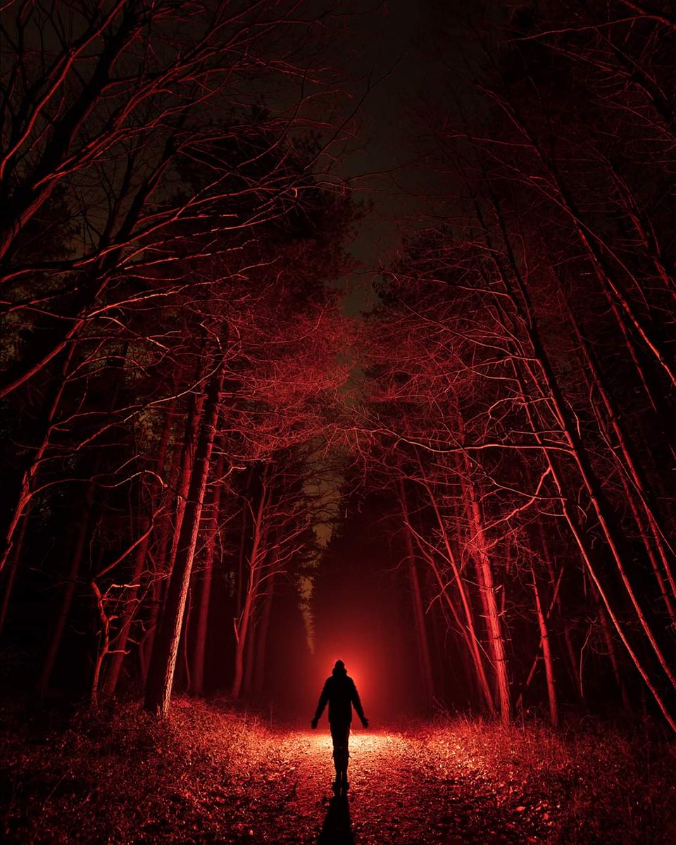 "Stranger Things" - first shot of the year with a lil lightpaintin mish in the local woods #woodlandphotography #lightpainting #lightpaintingart #backlit #clumberpark #sherwoodforest #visitnotts #nottinghamshire #longexposure #landscapephotography <a href="/CanonUKandIE/">Canon UK and Ireland</a> <a href="/NTClumberPark/">Clumber Park, National Trust</a>