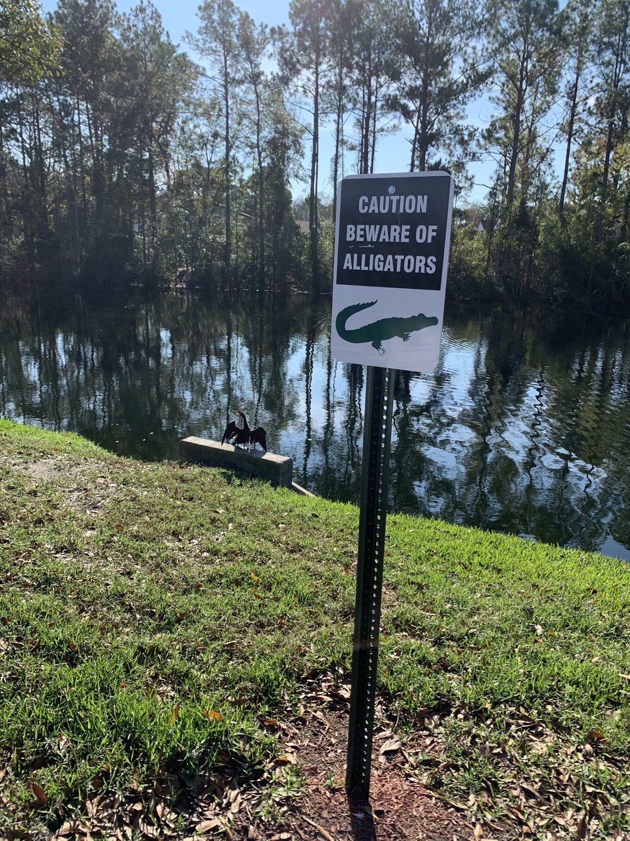 macaulaytay's tweet photo. Big Florida mood https://t.co/CWLSFfTBed