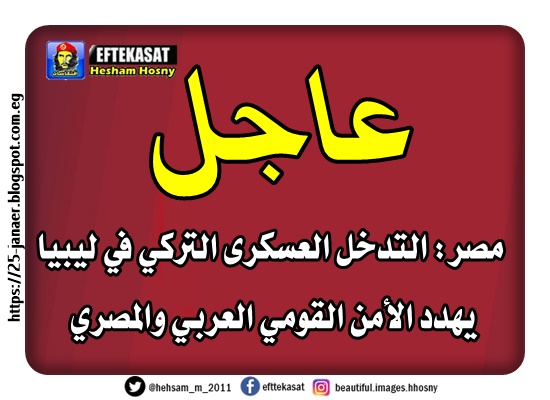 مصر: التدخل العسكرى التركي في ليبيا يهدد الأمن القومي العربي والمصري