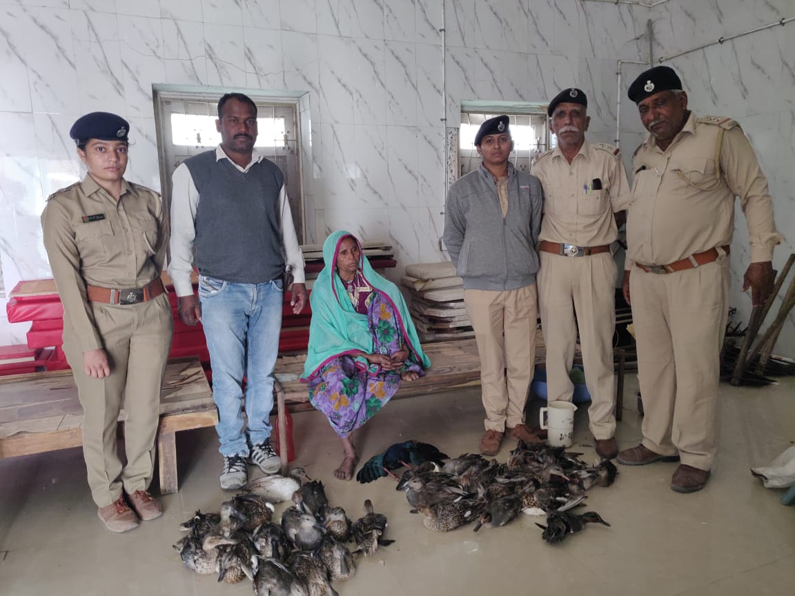Two poachers held in possession of 41 birds captured from Nal Sarovar sanctuary