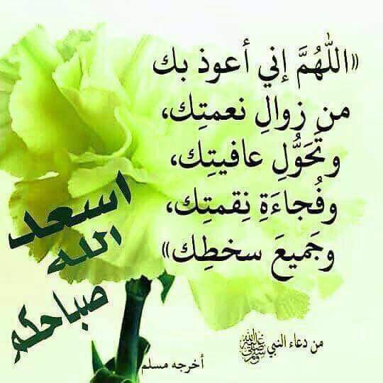 ali123456789900's tweet photo. شكرا جزيلا على مرورك العطر تحياتي https://t.co/RT02pohjSt