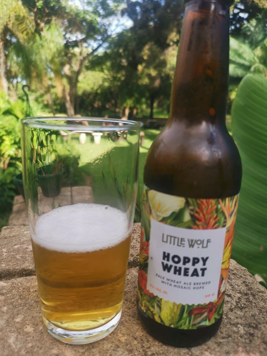 The sign made us stop. A bit old school and a bit rough. They have DP Lager @ R30 per pint. Bottled craft beer like Blackhorse Lager @R35 and Little Wolf Hoppy Wheat @R40 then other beer from R20 per bottle. They have gin from Baardman Brouerij on tap at only R30