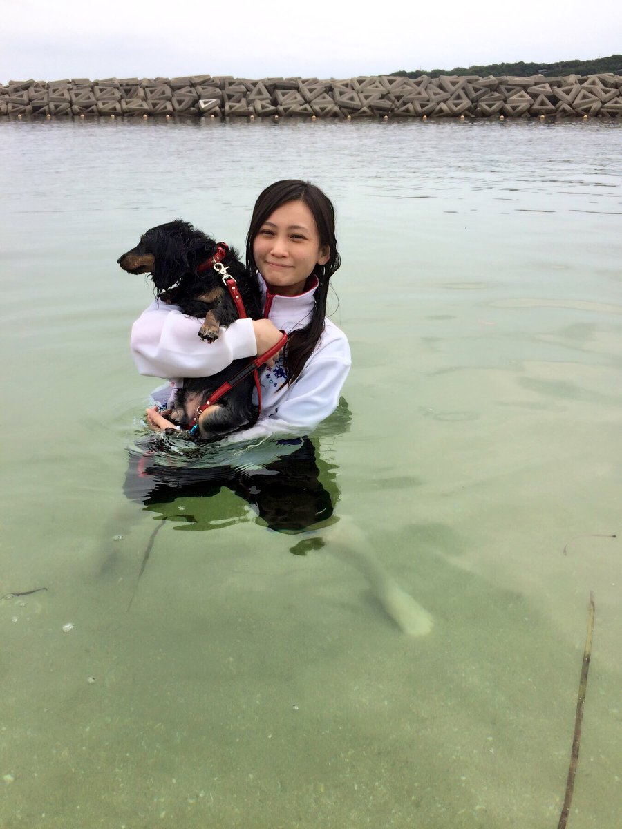 鹿野島 渡 三重 県 三重県に実在するヤバい島『渡鹿野島』が本当にヤバかった…