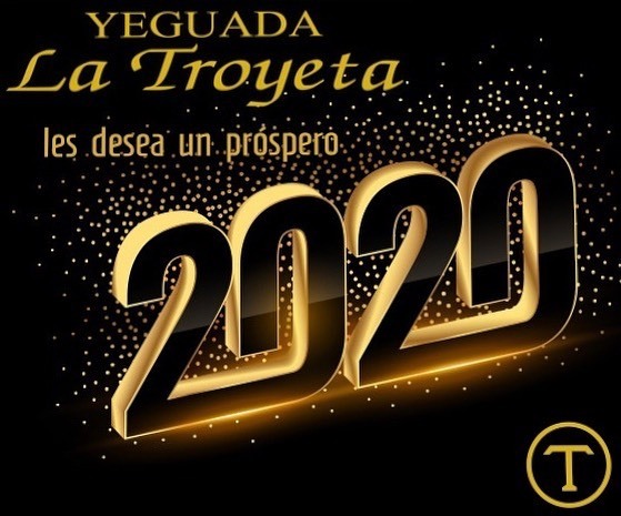 latroyeta's tweet photo. La familia de Yeguada La Troyeta les desea un feliz y próspero año 2020 que acaba de comenzar.
#purarazaespañola #yeguadalatroyeta #prehorse #spanishhorse #caballosespañoles #caballos #sicab #ancce #precval #domaclasica #dressage https://t.co/Vf4cyekvUC https://t.co/15W5NehKPz