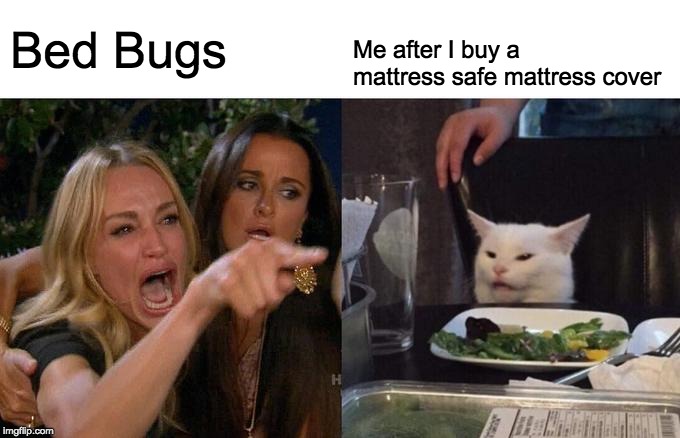 Go into 2020 with Mattress Safe and leave bed bugs in 2019!
#bedroom #bedbugs #pestcontrole #foryou #bedtime #sleep #sleepwell