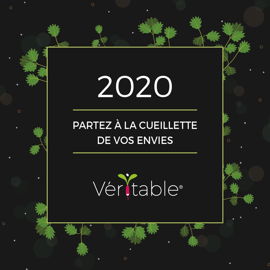 Toute l'équipe Véritable vous souhaite une excellente année 2020! 🌿 #happynewyear2020