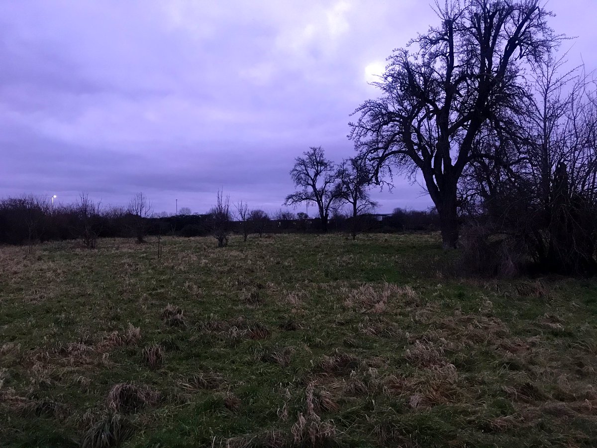 sarahottaway's tweet image. Day 2 of #REDJanuary2020 and an early (ish) walk around where I live in Gloucester 🏃‍♀️ The dawn chorus was in full swing and even bumped into my local recycling crew for a quick chat! #startingthedaytherightway #alwaysnetworking