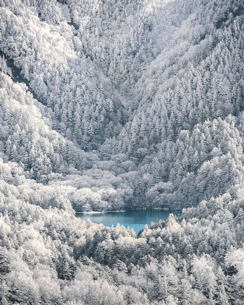 aufildujapon's tweet photo. Vues hivernales de #Shiga #Kogen! 🙌❄️
Shiga Kogen est une visite incontournable, composée de 19 stations de ski à travers le parc national Joshinetsu Kogen dans le nord-est de la préfecture de #Nagano.
Visitez:
https://t.co/Bu0N0eZLqD https://t.co/nsrDkRzC7n