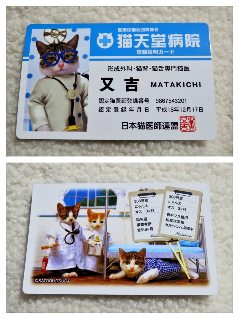 ふぃっしゅ On Twitter なめ猫懐かしい 猫舌も治せる整形外科医 通いたい 308号室の患者重症 Suinya ちょっと欲しかった