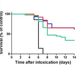 OPCW_ST's tweet photo. Generation of highly efficient equine-derived antibodies for post-exposure ricin intoxication treatment by vaccination with monomerized ricin. From @Toxins_MDPI https://t.co/53CMyUqQDe https://t.co/SgBvcNacH2