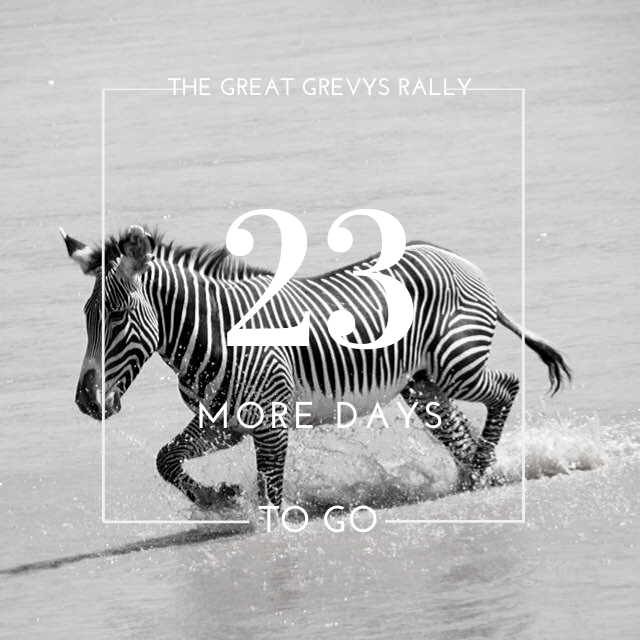 GrevysRally's tweet photo. The 2020 Great Grevy's Rally is only 23 days away!! Many places are almost full so make sure you get in touch with us as soon as possible to book your spot! Email us at info@greatgrevysrally.com for more details. #ggr #greatgrevysrally #grevyzebras #ggr2020 https://t.co/pthGDGtCR6