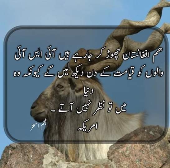 GNR_360's tweet photo. I Love ISI and PAK Forces 😍

#pakarmypaksaviour https://t.co/DUtDX0XecL