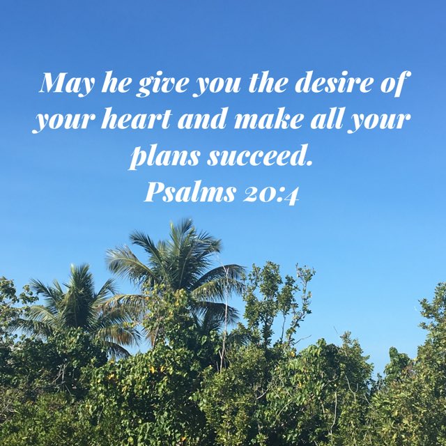 bible.com/111/psa.20.4.n…