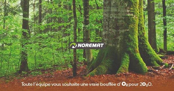 🌱Bonne année à tous !🌱
En 2020, encore + d'#engagement pour le #développementdurable. Une carte de vœux envoyée = un arbre planté.
➡ Objectif : 8000 arbres à Geste (49) et 1143 jours de travail non délocalisable !
reforestaction.com/noremat