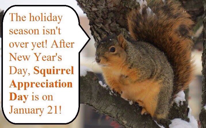 #MyFirst20DaysIn2020 will be a build up to January 21st, #SquirrelAppreciationDay. 🐿